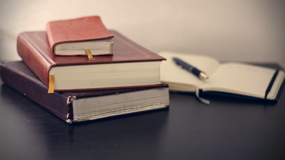 empleo publico libros