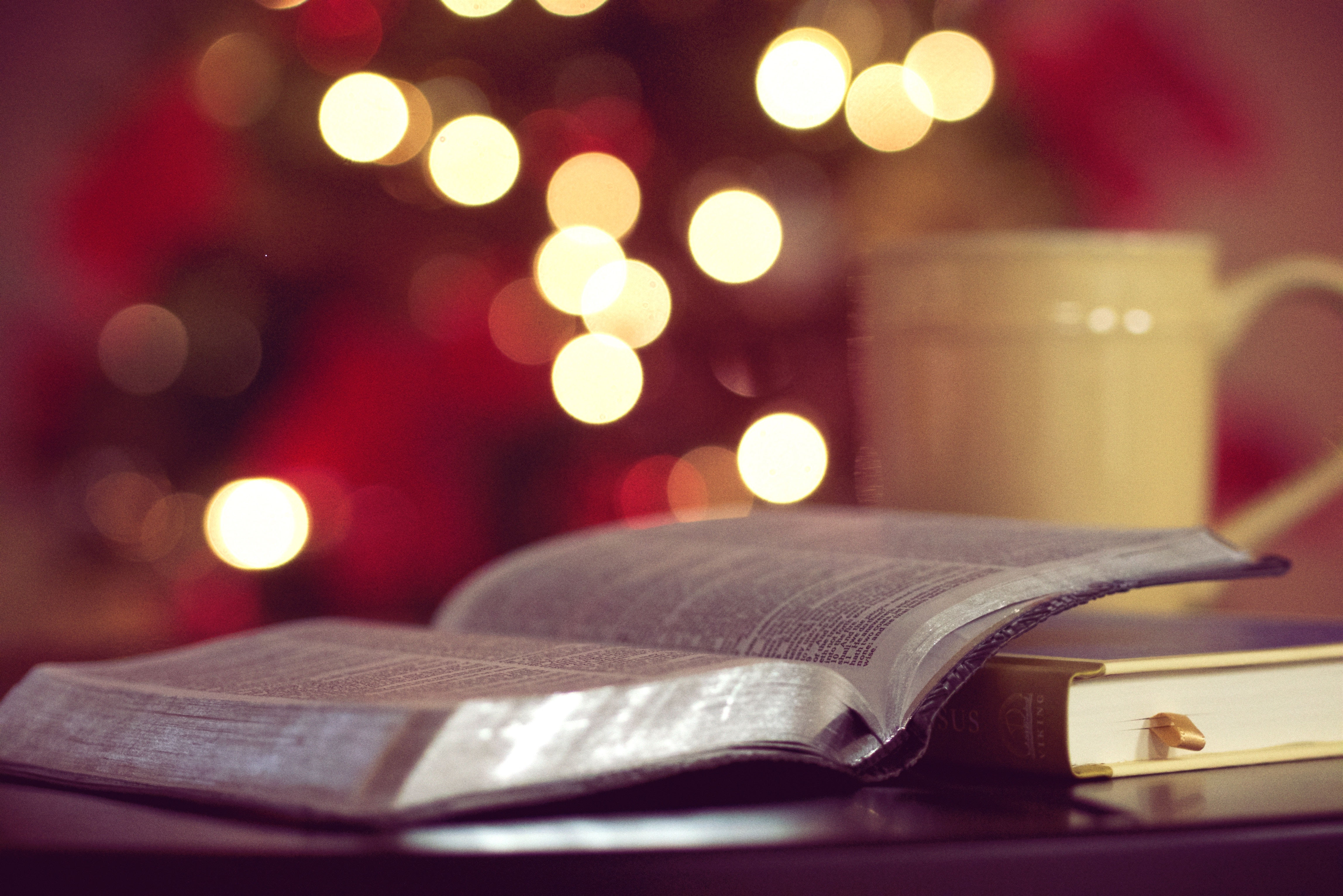 Consejos para estudiar en Navidad